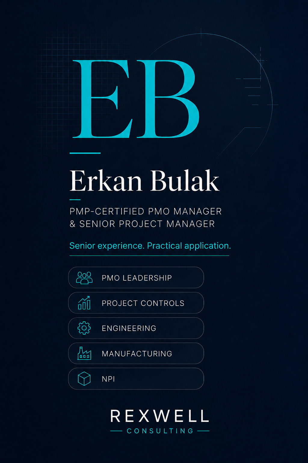 Erkan Bulak – PMP-certified PMO Manager and Senior Project Manager